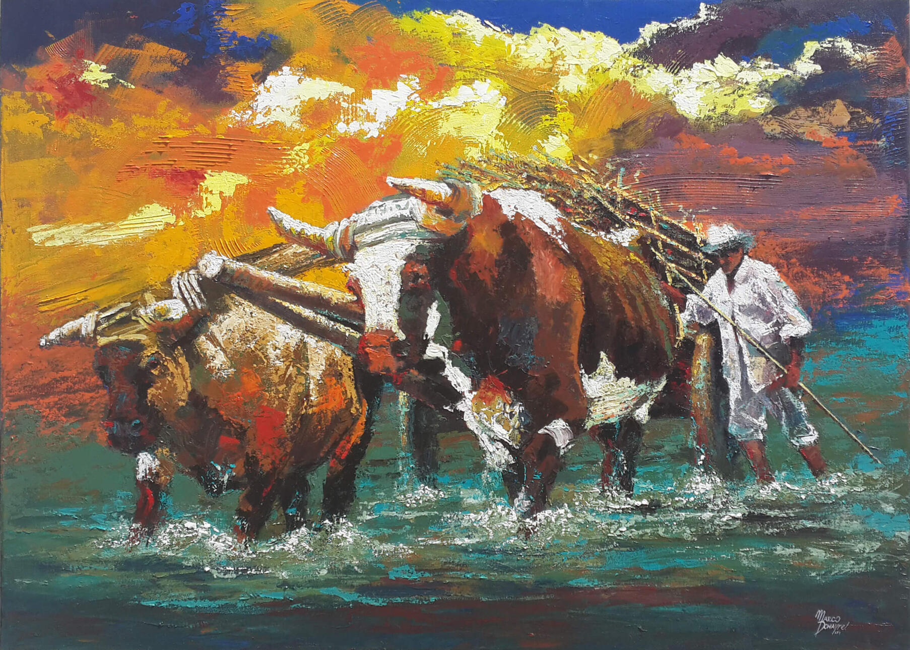 Steers
